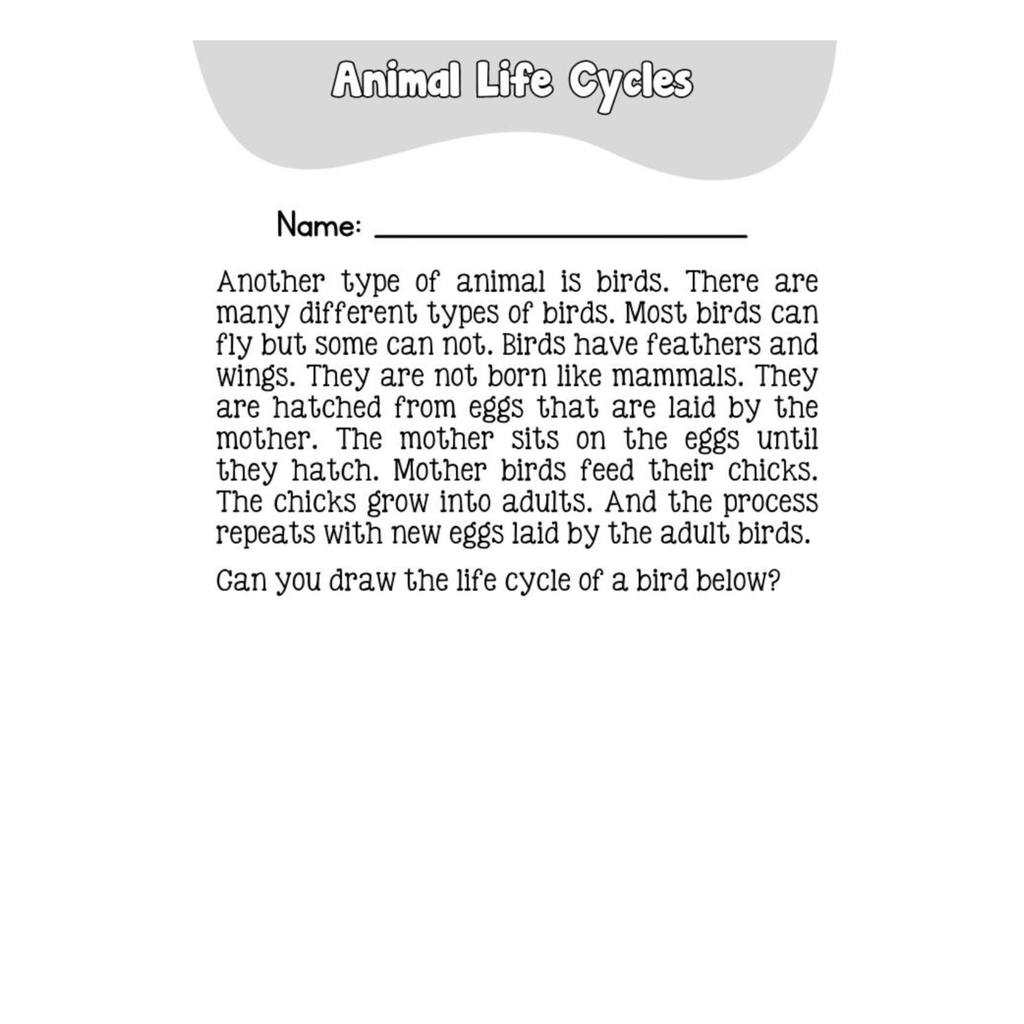 Science Workbook Ages 6 8 0221