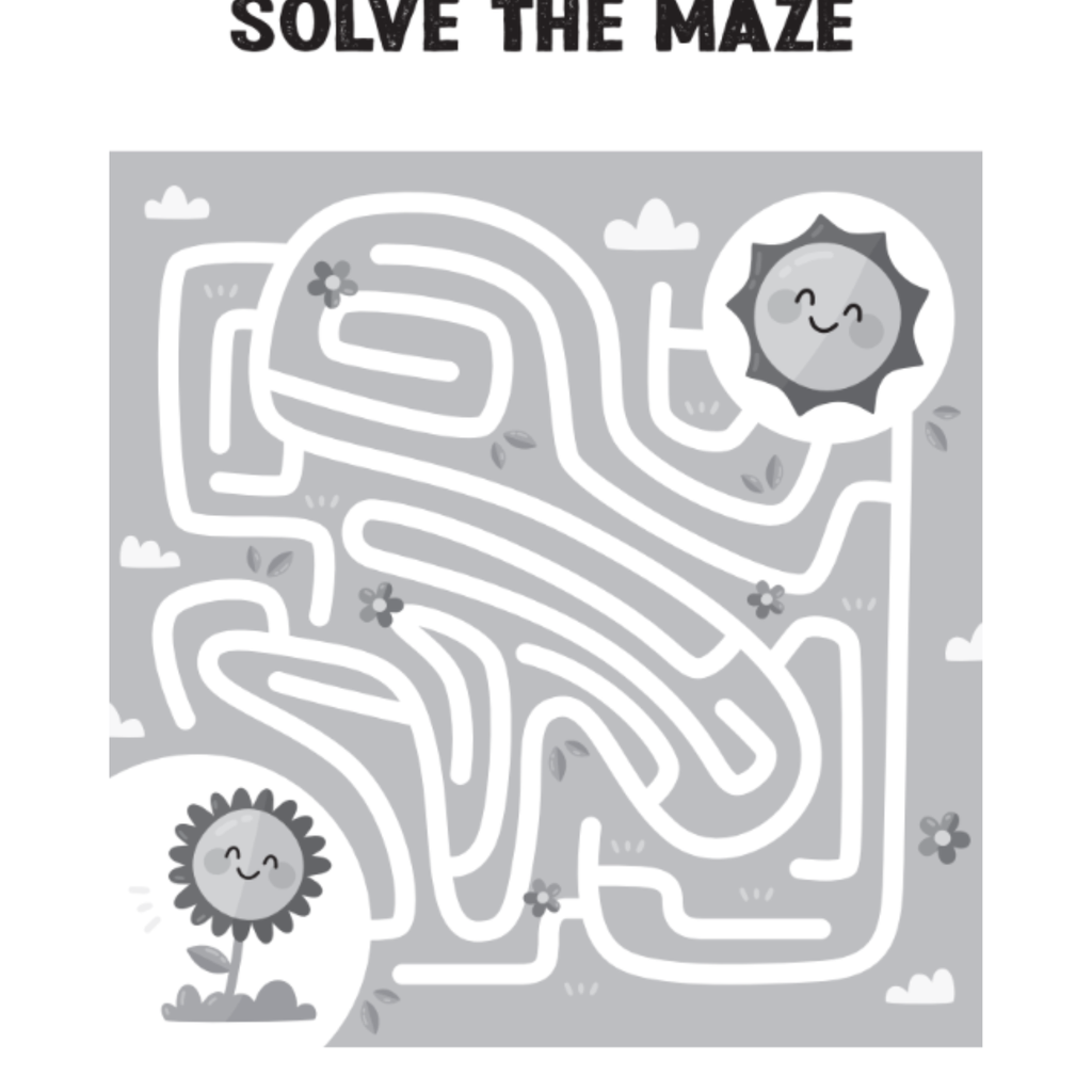 Maze Activity Book for Kids
