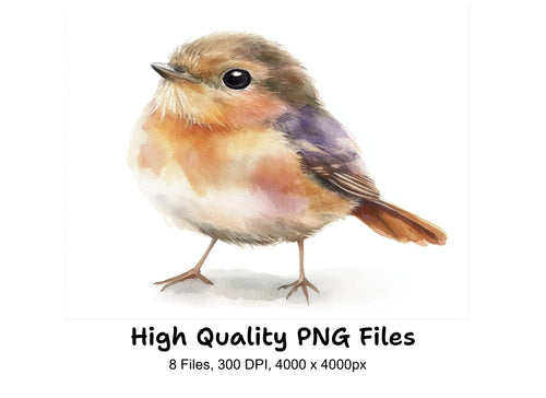 Adorable Bird Illustrations Clipart Bundle