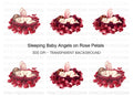 Sleeping Baby Angels on Rose Petals Clipart Bundle