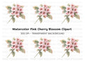 Pink Cherry Blossom Branch Clipart Bundle