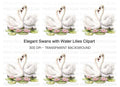 Romantic Swans with Water Lilies Clipart Bundle