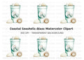 Seashells in Glass Clipart Bundle