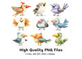 Assorted Bird Illustrations Clipart Bundle