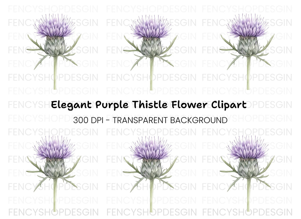 Elegant Thistle Bloom Clipart Bundle