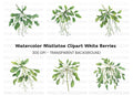 Mistletoe Sprigs Christmas Clipart Bundle