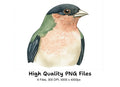 Beautiful Bird Clipart Bundle