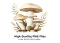 Mushroom Clipart Bundle