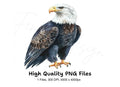 Majestic Bald Eagle Clipart Bundle