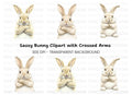 Grumpy Bunny Clipart Bundle