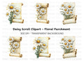 Daisy Scroll Clipart Bundle
