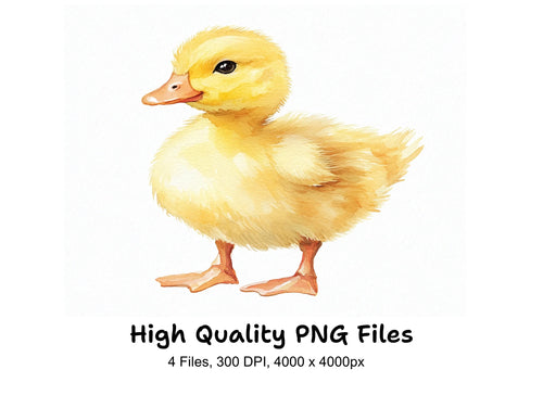 Adorable Baby Duckling Clipart Bundle