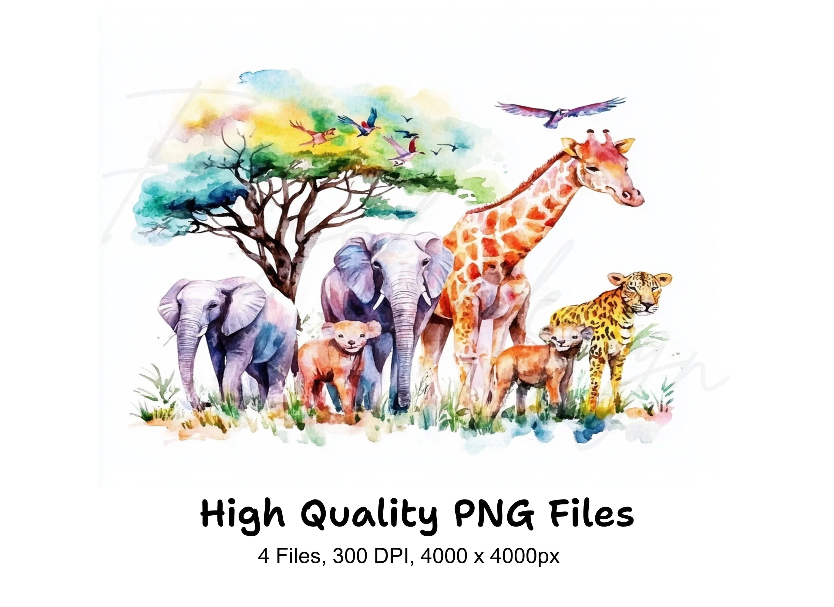 Safari Animals Clipart Bundle