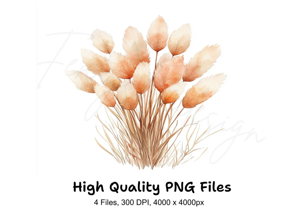 Pampas Grass Clipart Bundle