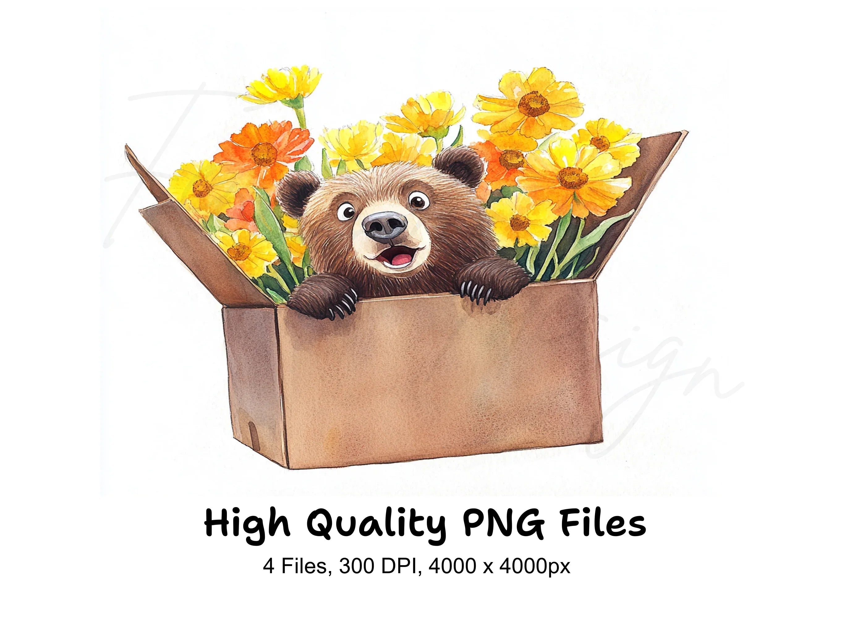 Cute Bear with Marigold Flowers Clipart Bundle