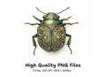 Ornate Patterned Beetle Clipart Bundle
