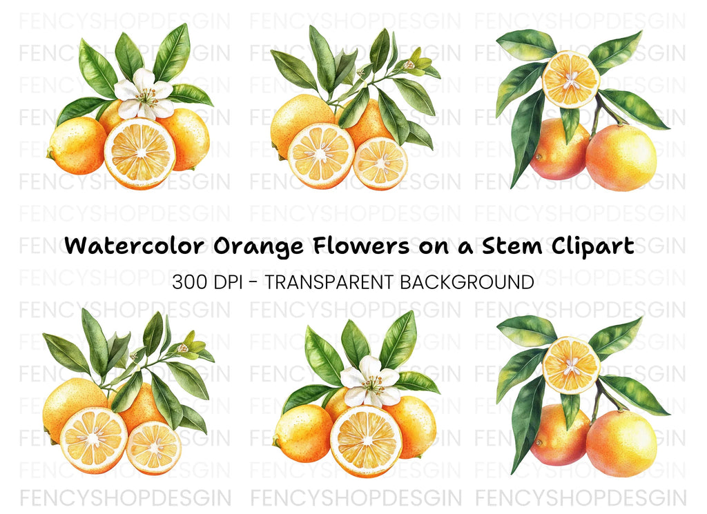 Citrus Fruit Clipart Bundle