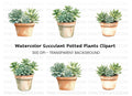 Succulent Plant Pot Clipart Bundle