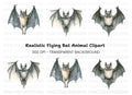 Cute Bat Clipart Bundle