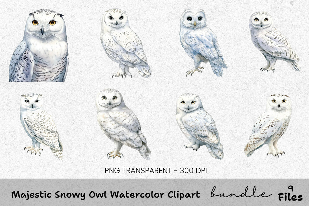 Majestic Snowy Owl Clipart Bundle