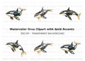 Majestic Orca Whale Clipart Bundle