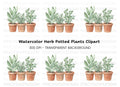 Herb Plants in Terracotta Pots Clipart Bundle