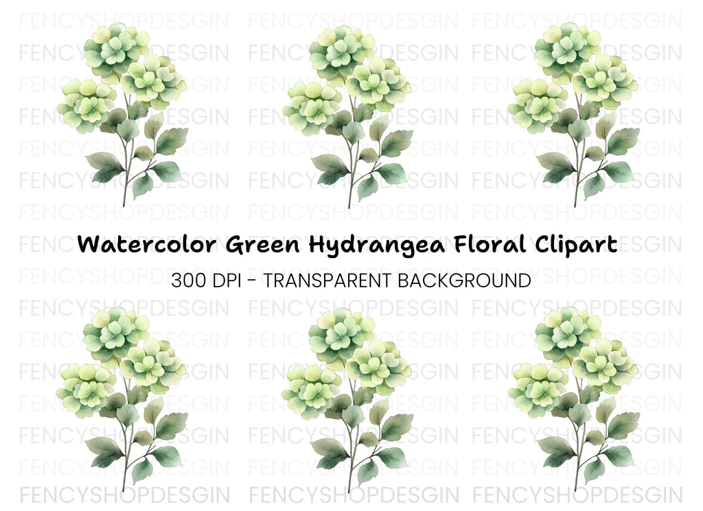 Green Hydrangea Clipart Bundle