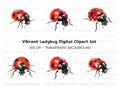 Versatile Ladybug Clipart Bundle