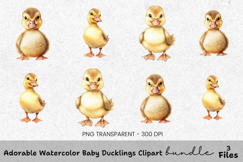 Adorable Baby Ducklings Clipart Bundle