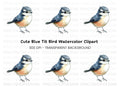 Adorable Blue and Orange Bird Clipart Bundle