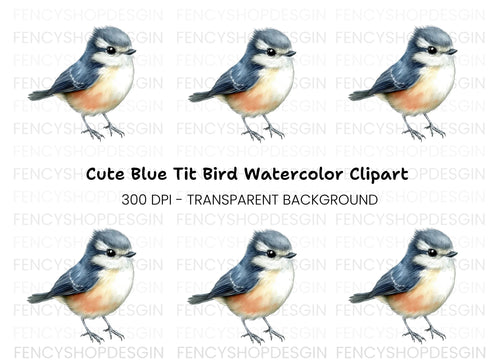 Adorable Blue and Orange Bird Clipart Bundle