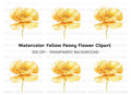 Yellow Poppy Flower Clipart Bundle