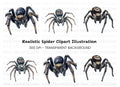 Realistic Spider Clipart Bundle
