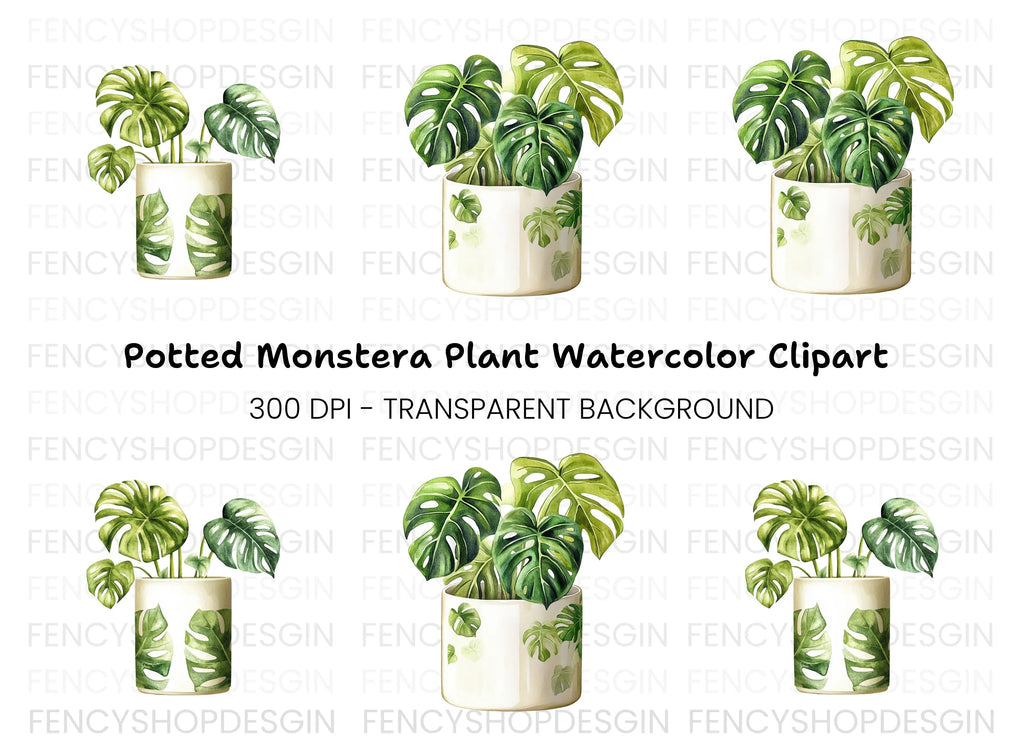 Monstera Plant Clipart Bundle