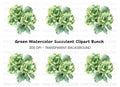 Green Floral Clipart Bundle