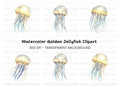 Graceful Jellyfish Clipart Bundle