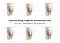 Realistic Elephant Clipart Bundle