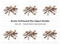 Driftwood Clipart Bundle
