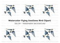 Flying Swallow Birds Clipart Bundle