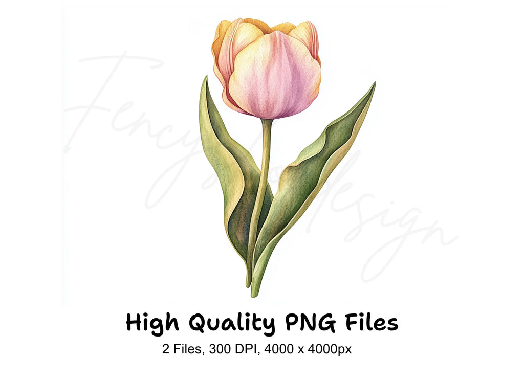 Orange Tulip Flower Clipart Bundle