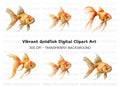 Elegant Goldfish Clipart Bundle