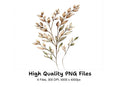 Botanical Clipart Bundle