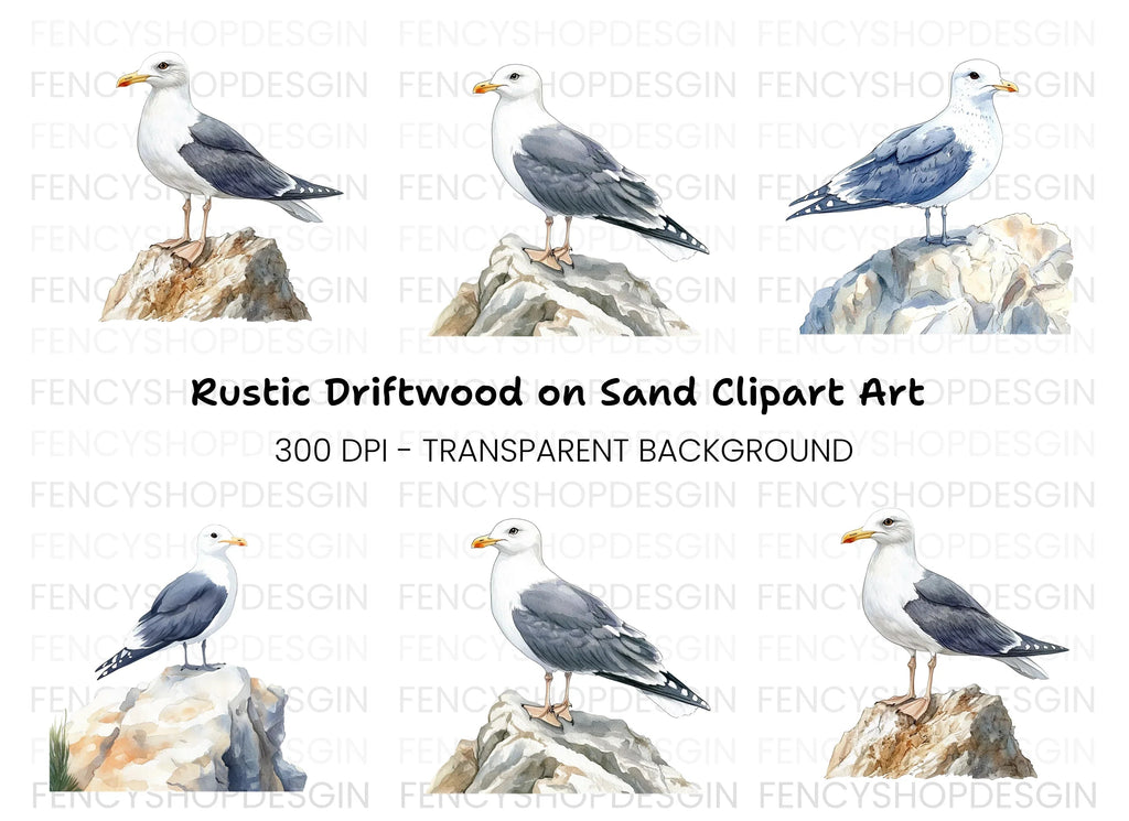 Three Seagulls on Rocks Clipart Bundle