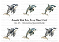 Elegant Orca Whale Clipart Bundle