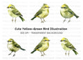 Cute Green Bird Clipart Bundle