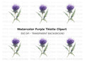 Elegant Purple Thistle Clipart Bundle