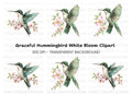 Hummingbird with Pink Blossoms Clipart Bundle