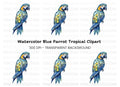 Geometric Blue Macaw Clipart Bundle
