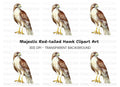Majestic Red Tailed Hawk Clipart Bundle