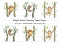 Playful Sloths Climbing Trees Clipart Bundle